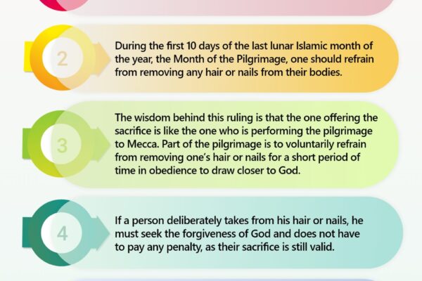 Things to Avoid if One Intends to Sacrifice an Animal Offering (2)